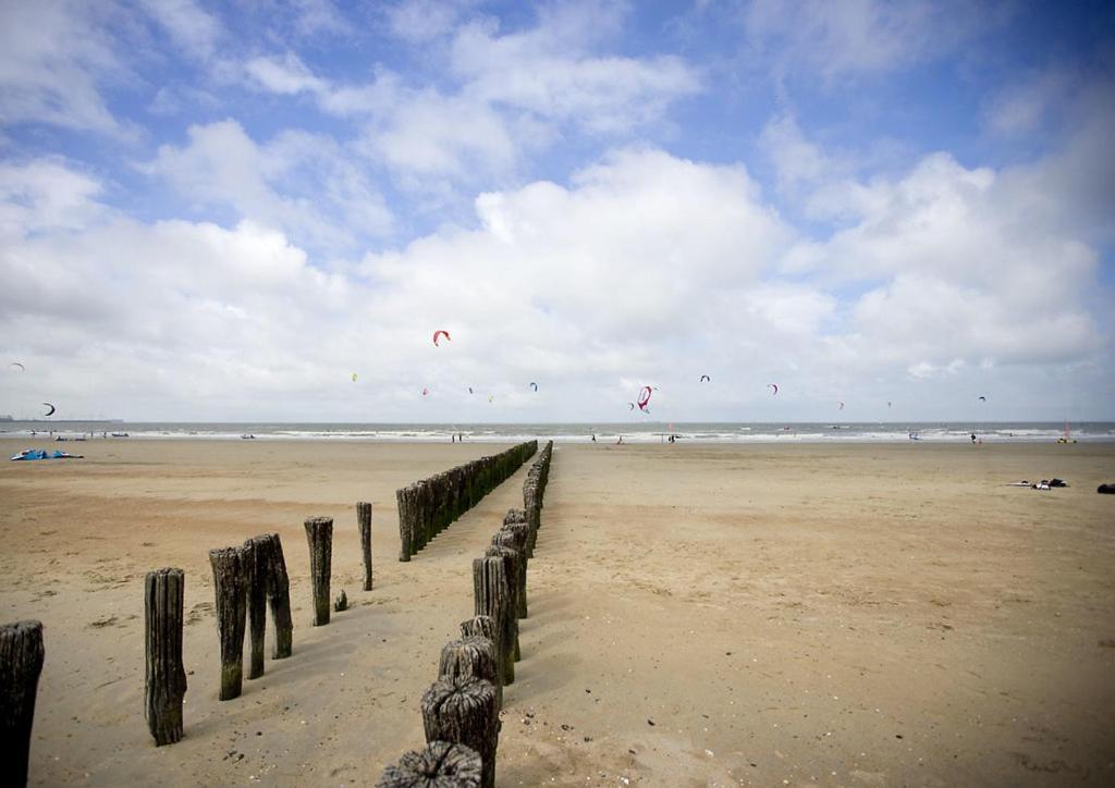 Appartement 7 Op De Zeedijk In Knokke Voor Max 6 Personen 克诺克－海斯特 外观 照片